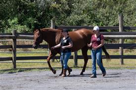 LR-WRF 08022025-Retreat-3198